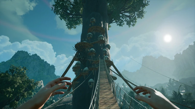 Canopy Image