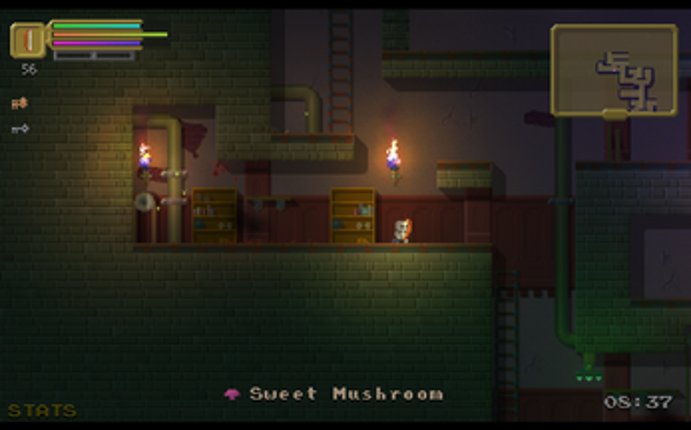 The Dungeoning screenshot
