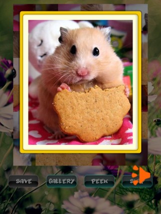 Hamster Puzzles screenshot
