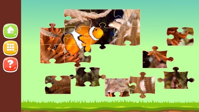 Animal Photo Jigsaw Puzzle Games HD screenshot