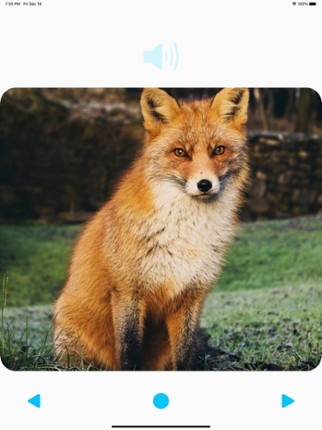 Animal Sounds Player screenshot