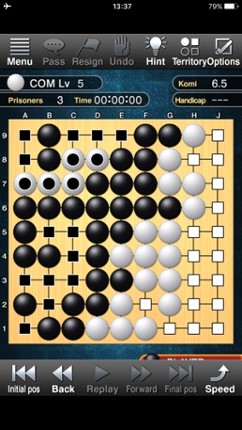 Champion Go Image