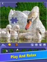 ColorPlanet® Jigsaw Puzzle Image