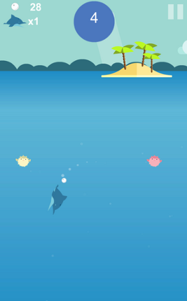 Dolphin Circle screenshot