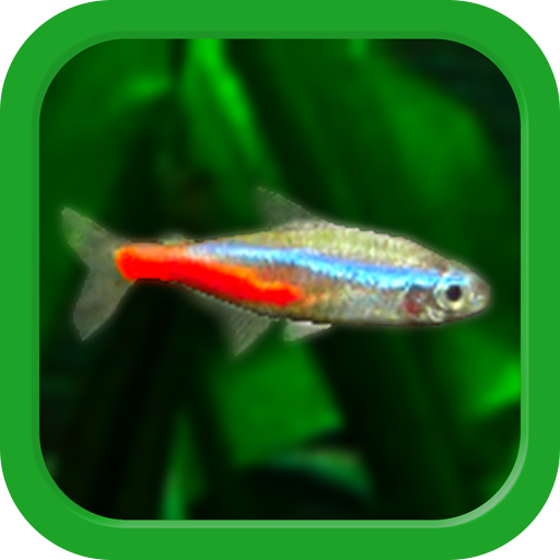 Games like Tropical Aquarium - Mini Aqua