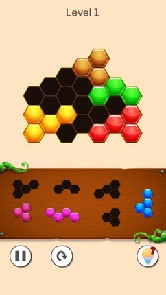 Hexa Puzzle 2023 Image