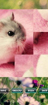 Hamster Puzzles screenshot