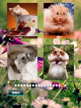 Hamster Puzzles screenshot