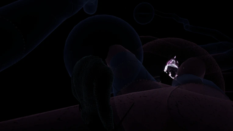 Imperitas: First Field Image