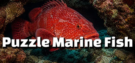 Games like Puzzle Marine Fish
