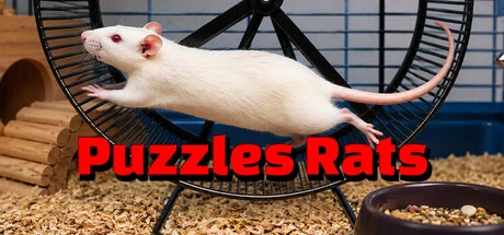 Games like Puzzles Rats
