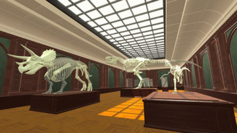 FossilQuest Image