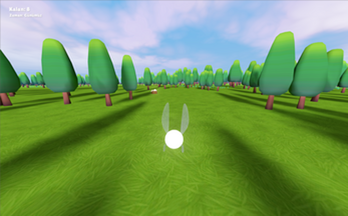 Aurora's Fairy Adventure Image