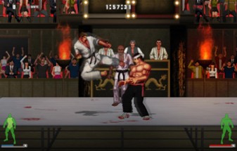 Karate Master 2 Knock Down Blow Image