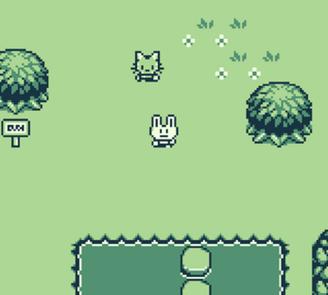 Lost in the woods Image