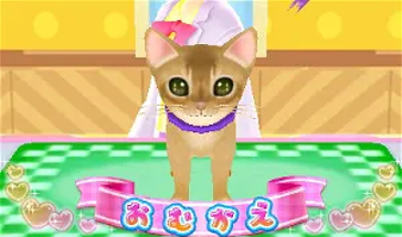 Wan Nyan Pet Shop Image