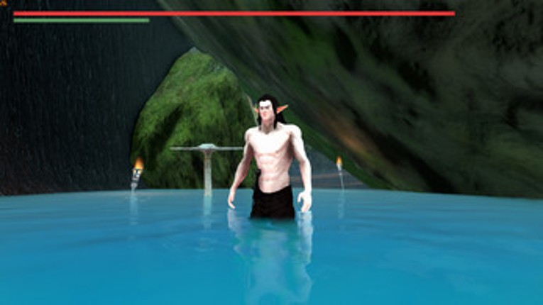 Wonks the Half-Elf! Image