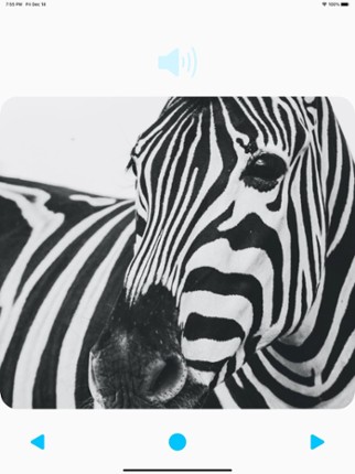 Animal Sounds Player screenshot