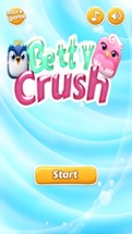 Crazy Bird Crush: Puzzle Game Image