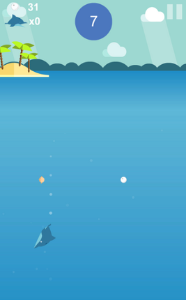 Dolphin Circle Image