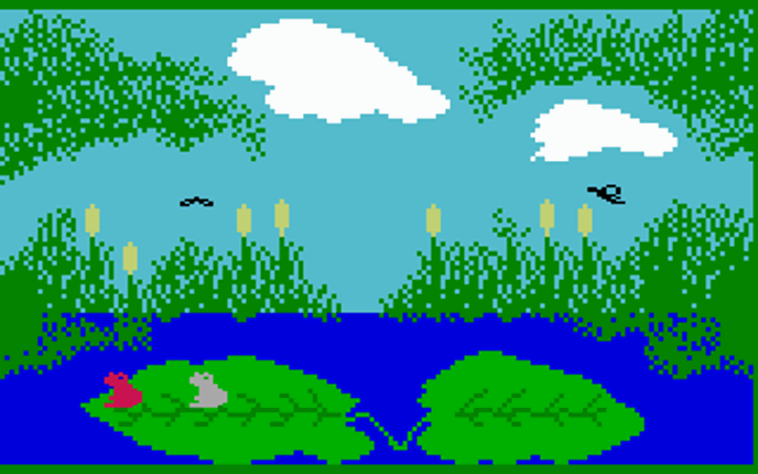 Frog Bog Image