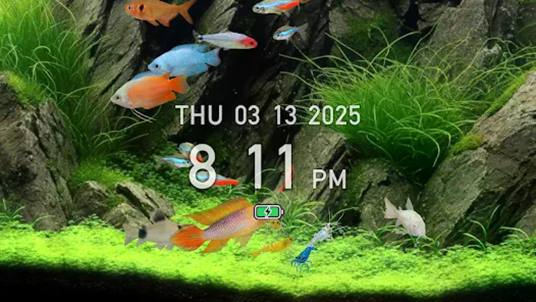 Tropical Aquarium - Mini Aqua Image