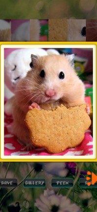 Hamster Puzzles screenshot