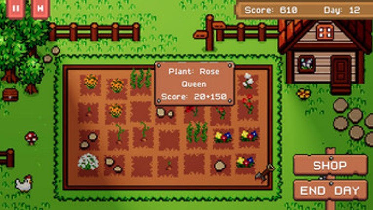A Chicken's Garden Image