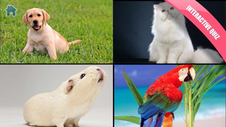 Copiii Invata! Jocuri pentru copii 1-3 ani screenshot