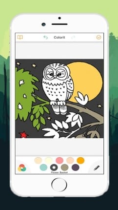 Cute Owl Coloring Drawing Pages for Kid Image