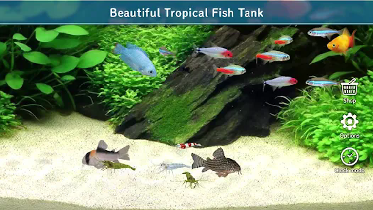 Tropical Aquarium - Mini Aqua Image