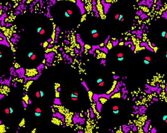 Clusters #Exp 10 screenshot
