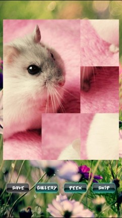 Hamster Puzzles screenshot