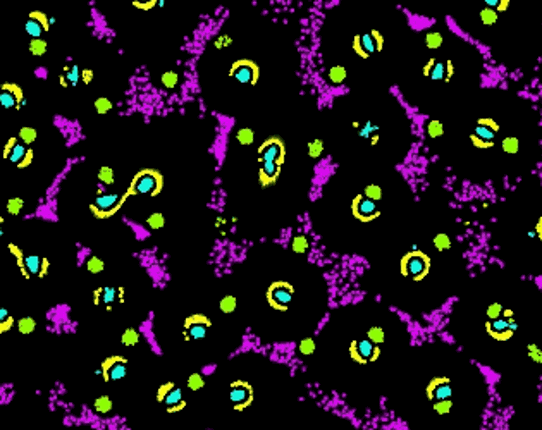 Clusters #Exp 10 screenshot