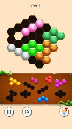 Hexa Puzzle 2023 Image