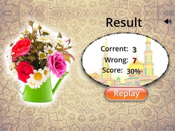 Islamic Quiz in English screenshot