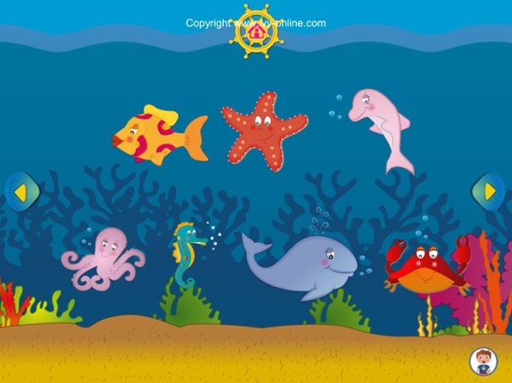 Ivy Marine Animals Image