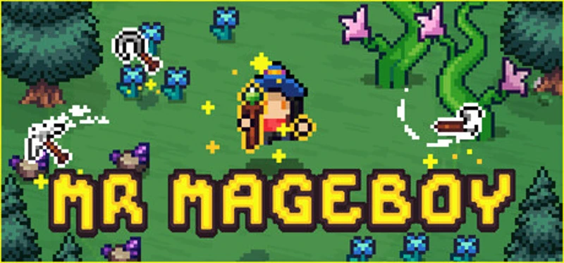 MR MAGEBOY Image