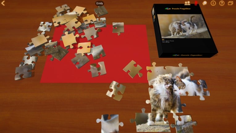 Puzzle Together screenshot