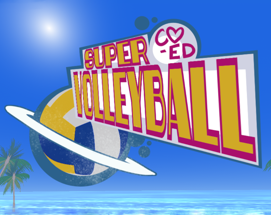 Games like Super Co-Ed Volleyball