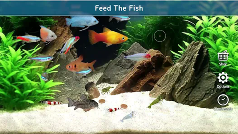 Tropical Aquarium - Mini Aqua screenshot