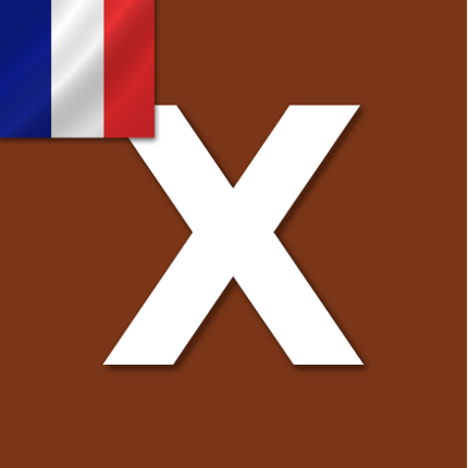 Word Expert - French Image