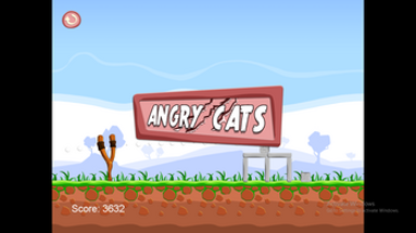 SEM ANGRY CATS Image