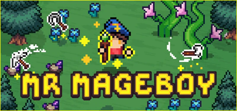 MR MAGEBOY Image