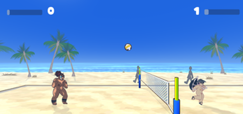 Super Co-Ed Volleyball Image