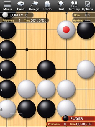 Champion Go Image