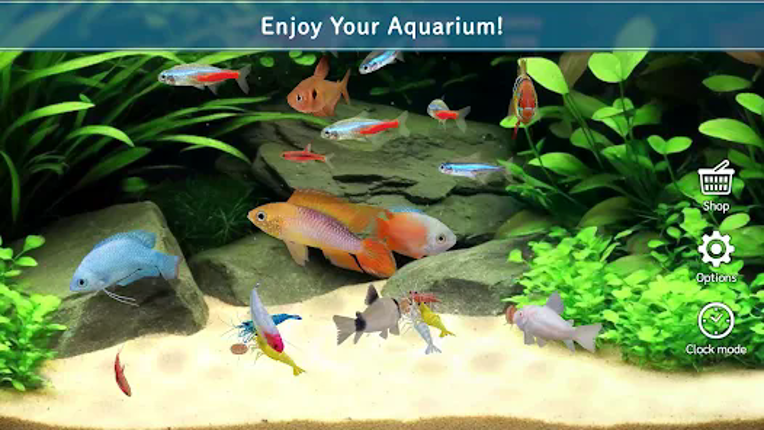 Tropical Aquarium - Mini Aqua screenshot