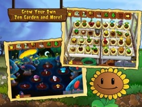 Plants vs. Zombies™ HD Image