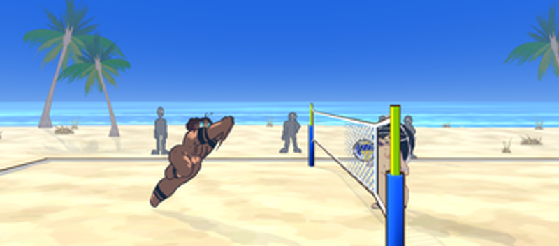 Super Co-Ed Volleyball Image
