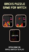 Bricks Puzzle Game For Watch Image